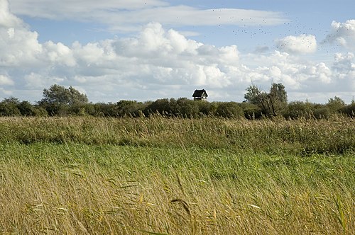 Lincolnshire Fens